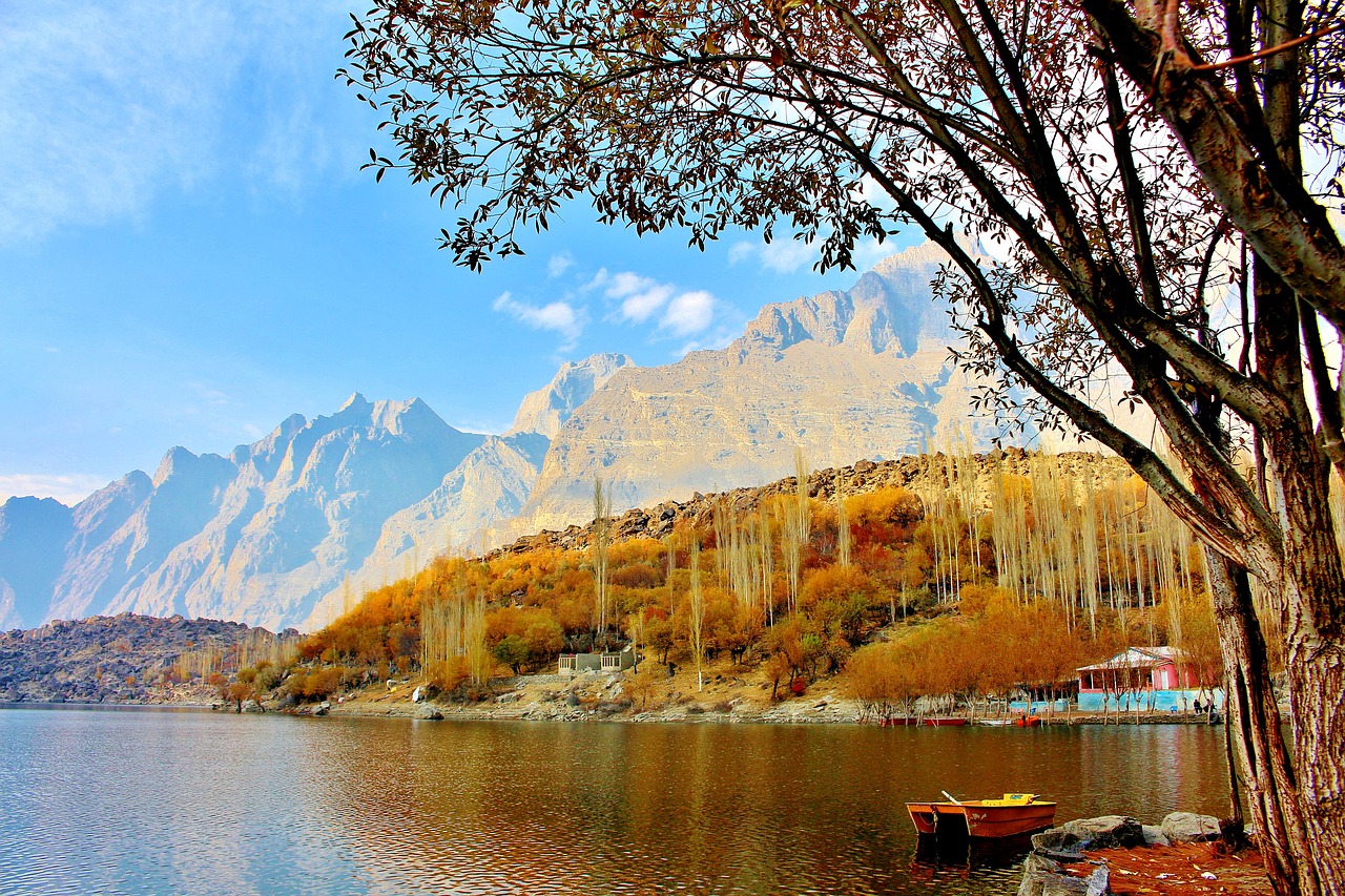 tree lake pakistan free photo