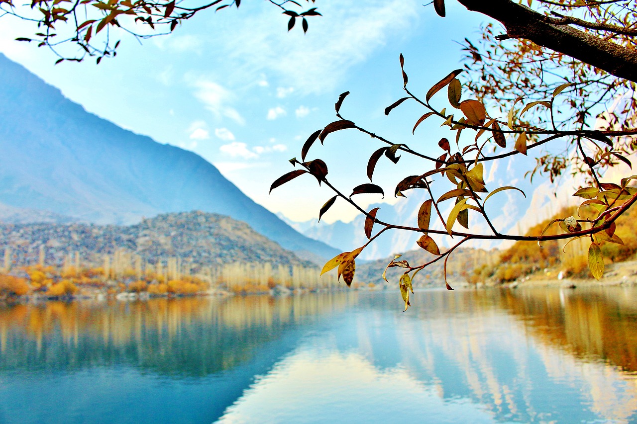 tree lake pakistan free photo