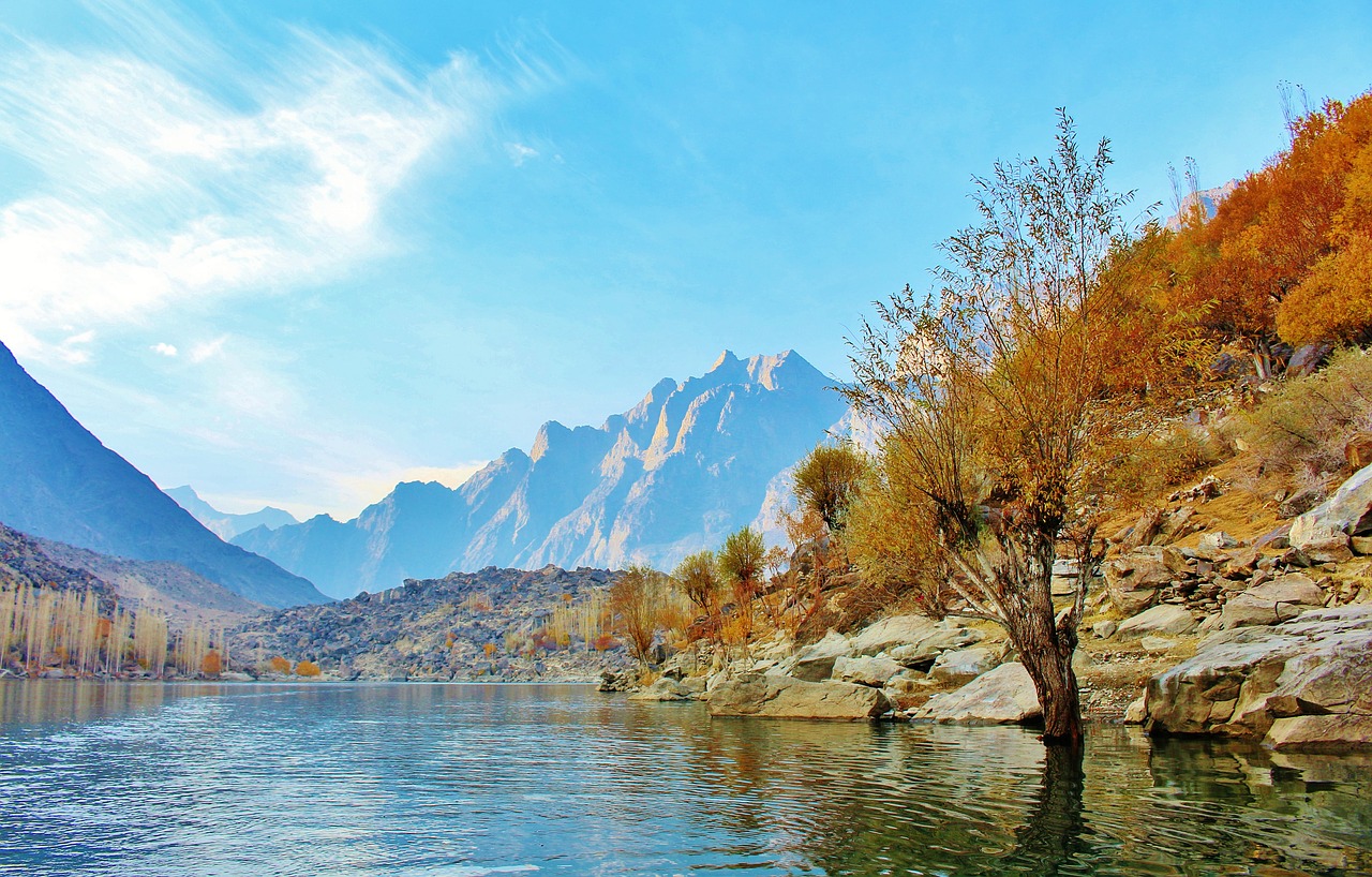 tree lake pakistan free photo