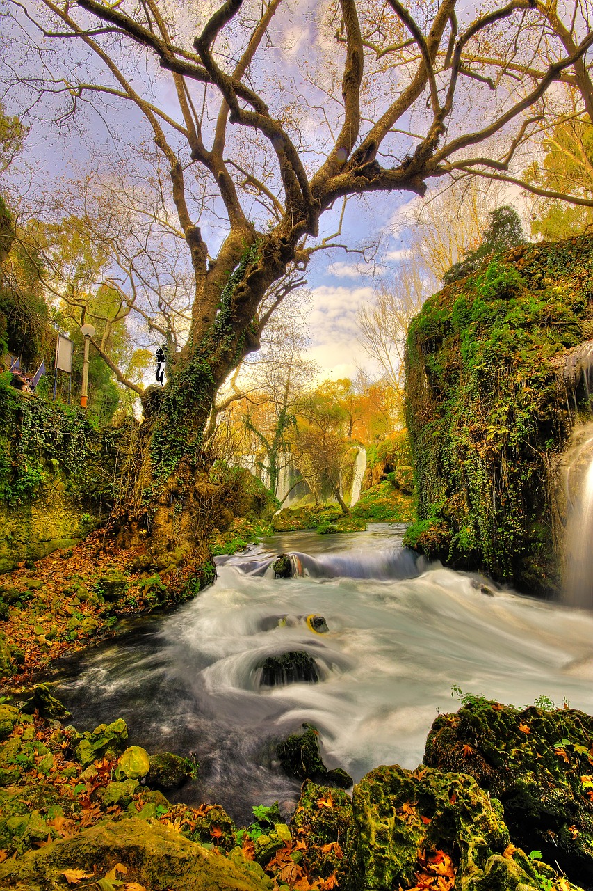 tree waterfall landscape free photo