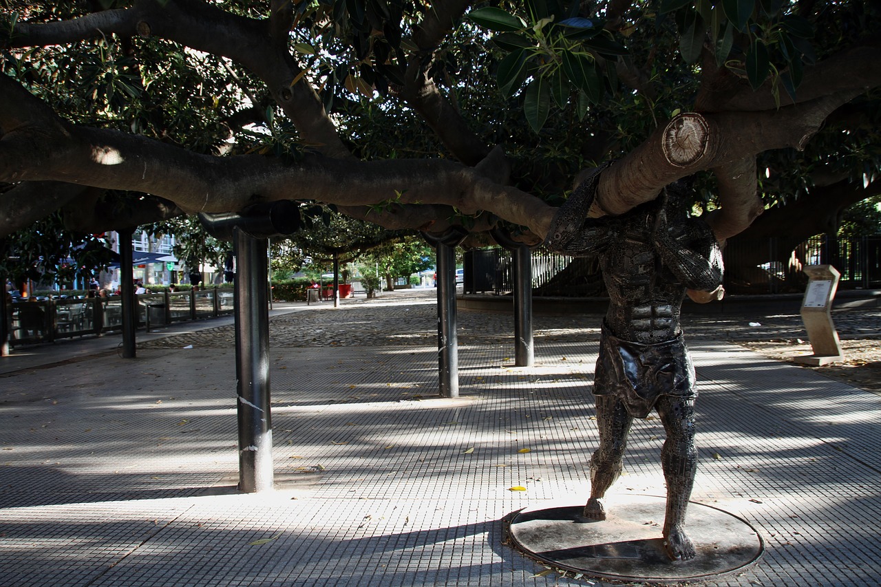 tree giant buenos aires free photo