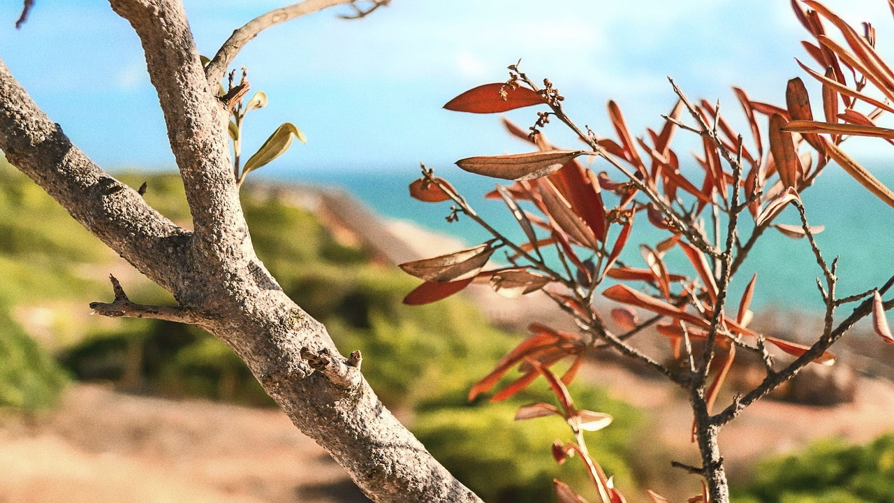 tree landscape macro free photo