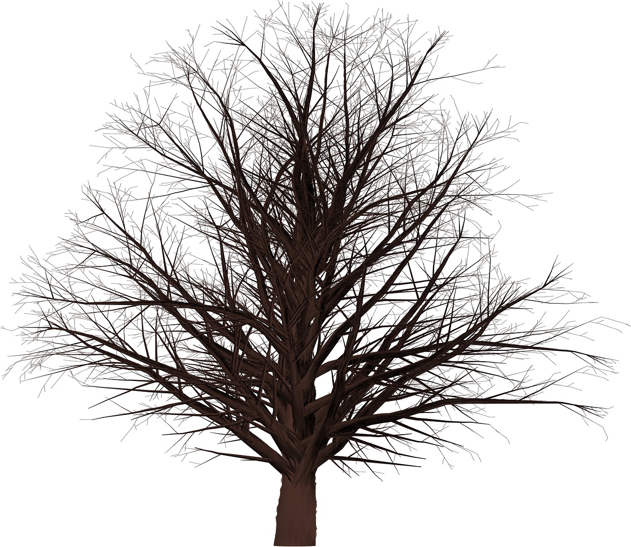 tree 3d masked free photo