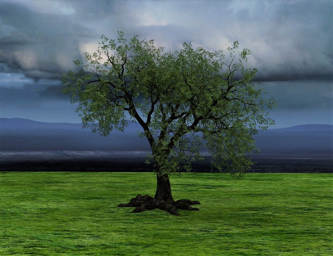 tree nature clouds free photo