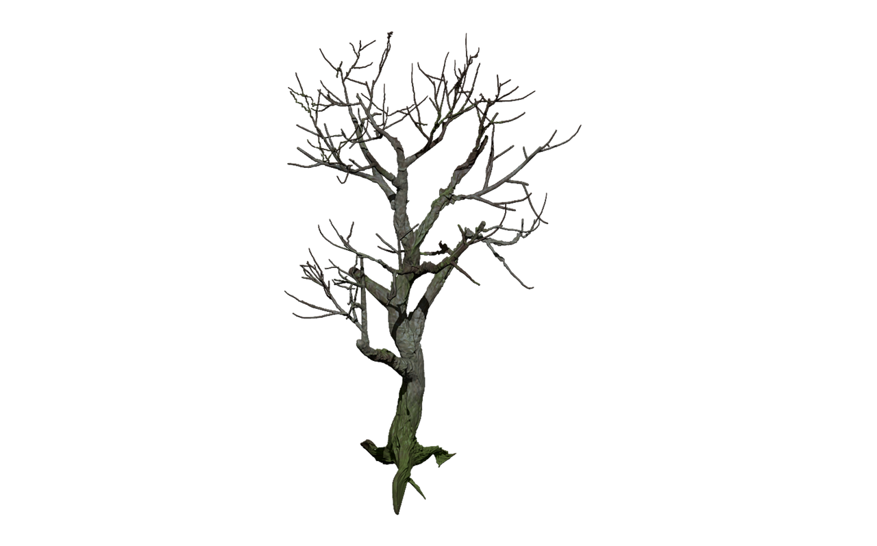 tree isolated digital art free photo