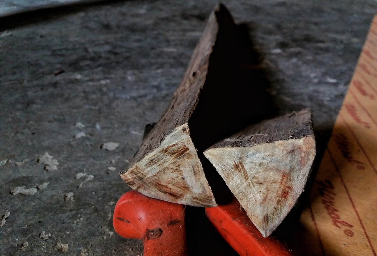 tree of wood wood cutting free photo