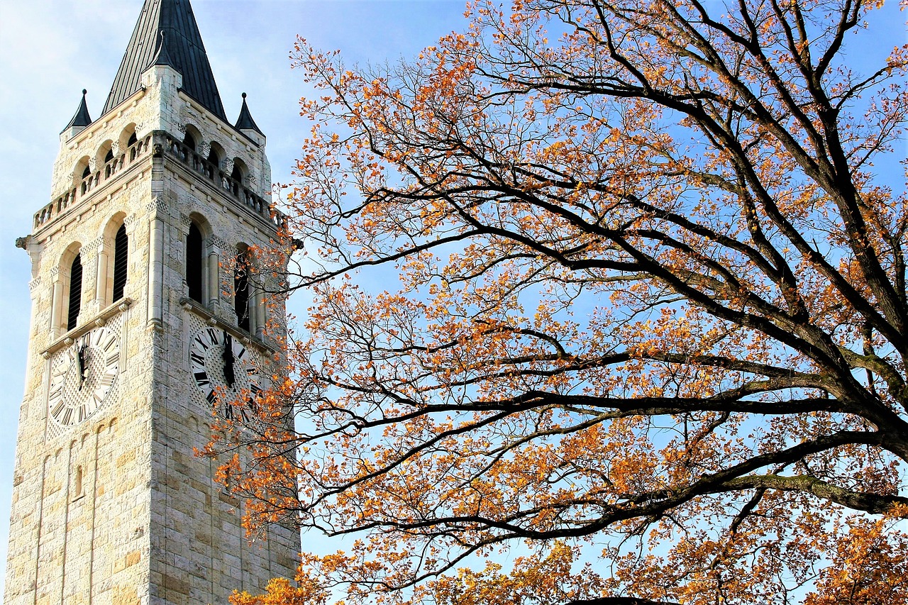 tree sky clock free photo