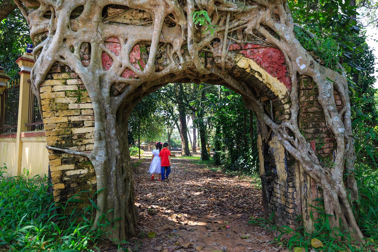 tree door cling free photo