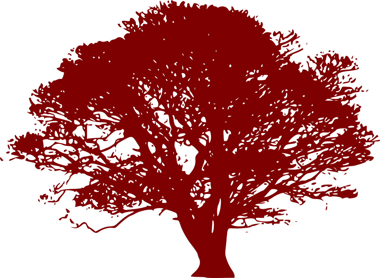 tree red drawing free photo