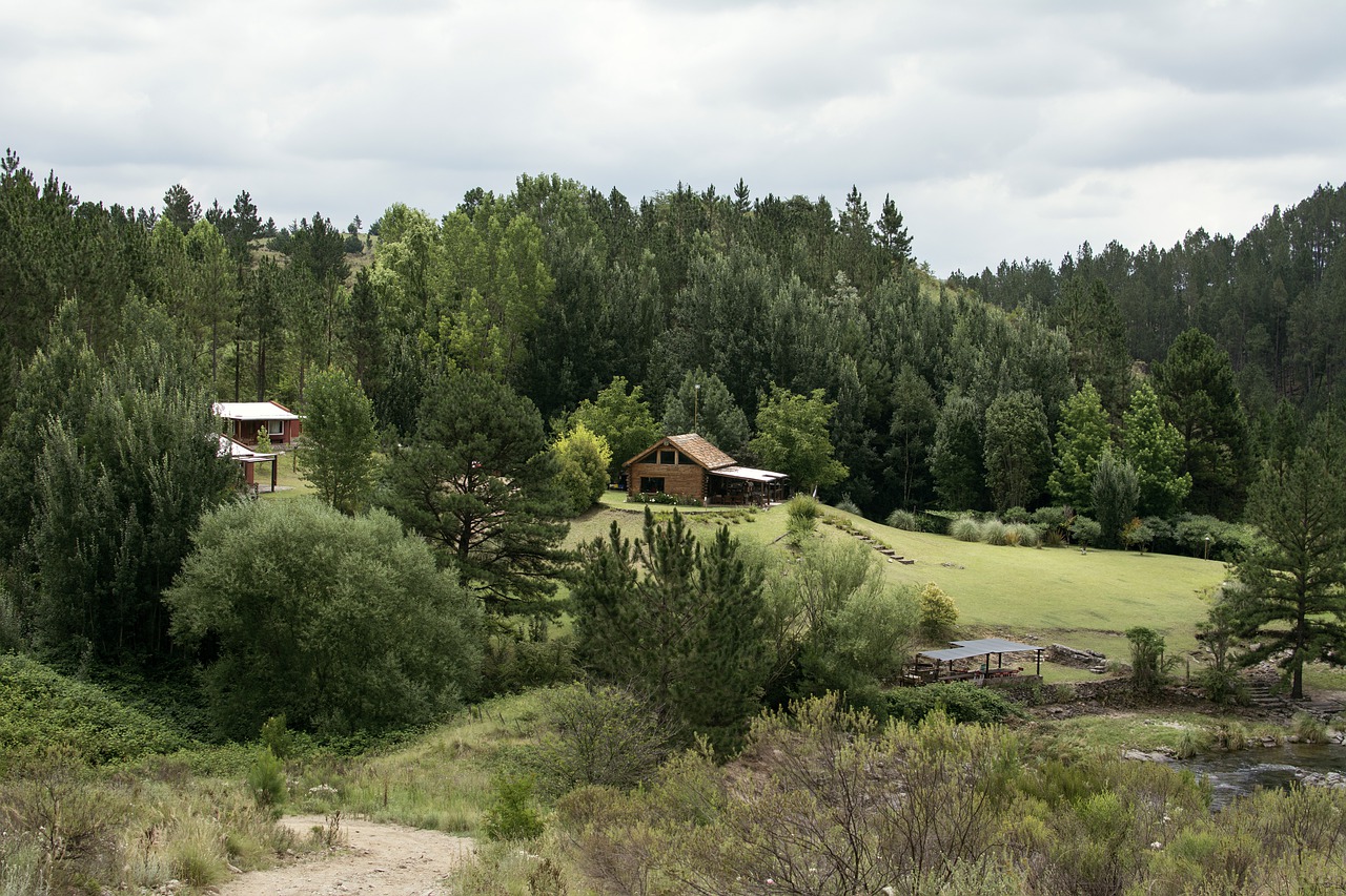 Sky wood hills ленинградская область. Sky Wood Hills. Скай Вуд Хилл фото ЛЕНОБЛАСТЬ одеяло.