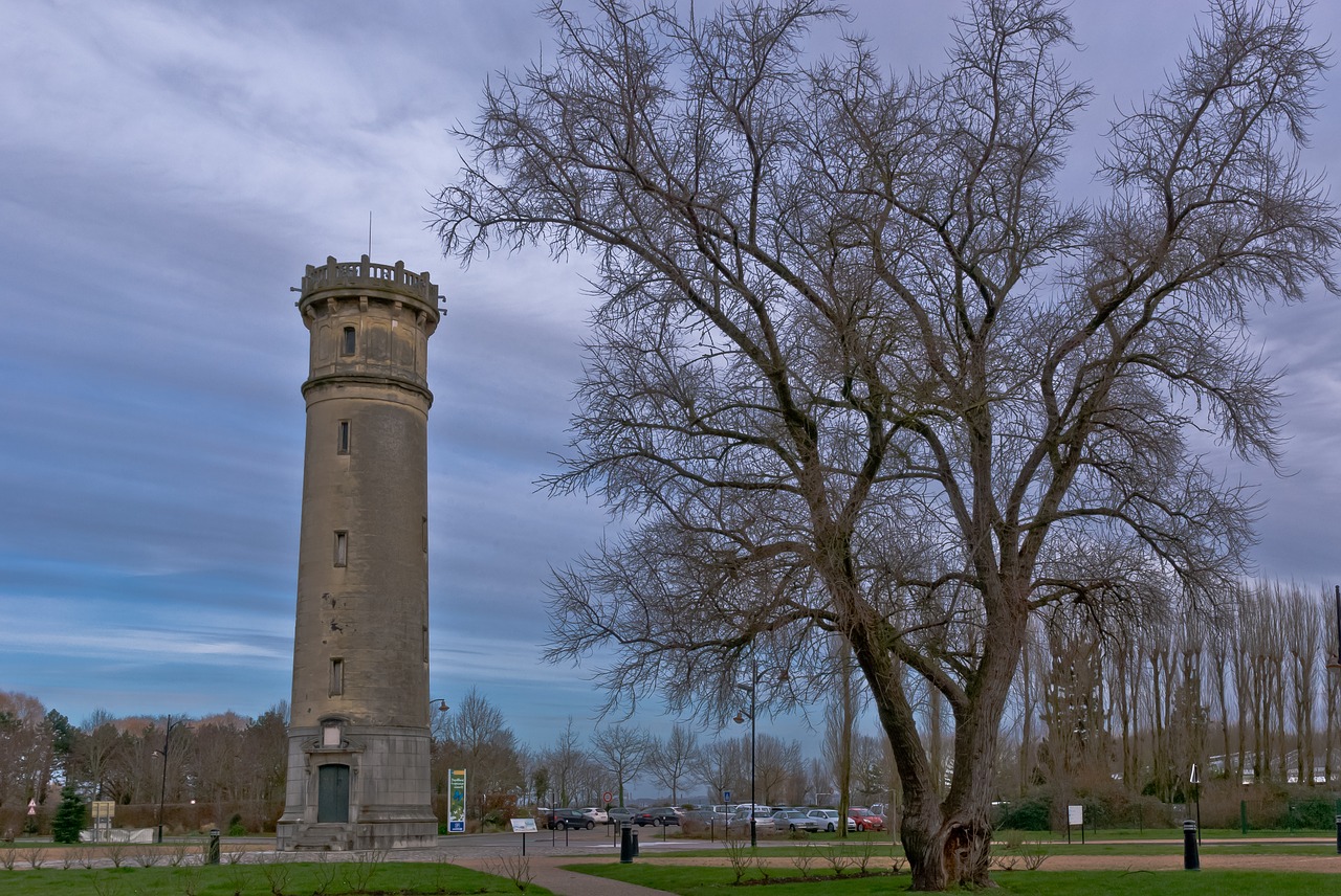 tree outdoor tower free photo