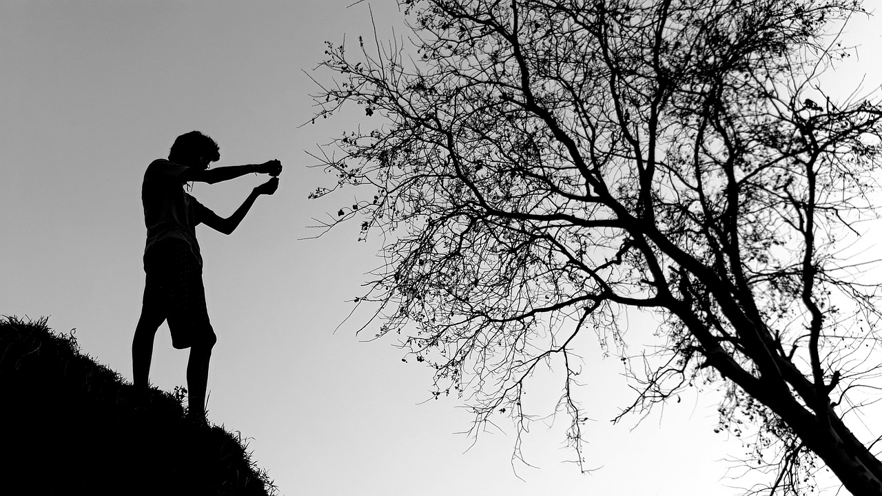 tree silhouette people free photo