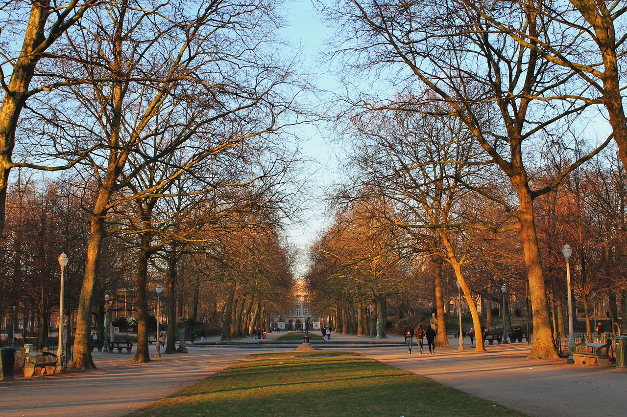 tree landscape autumn free photo