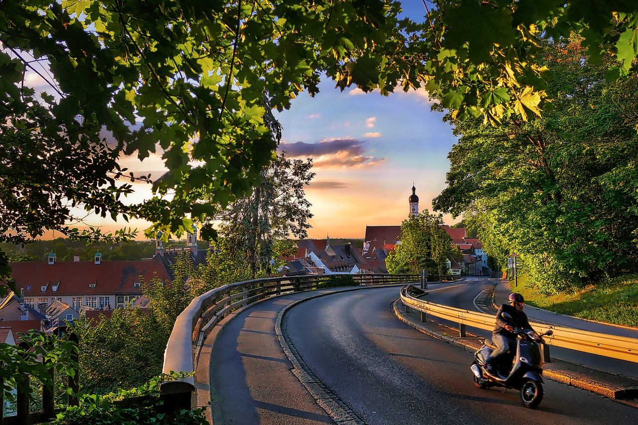 tree road travel free photo