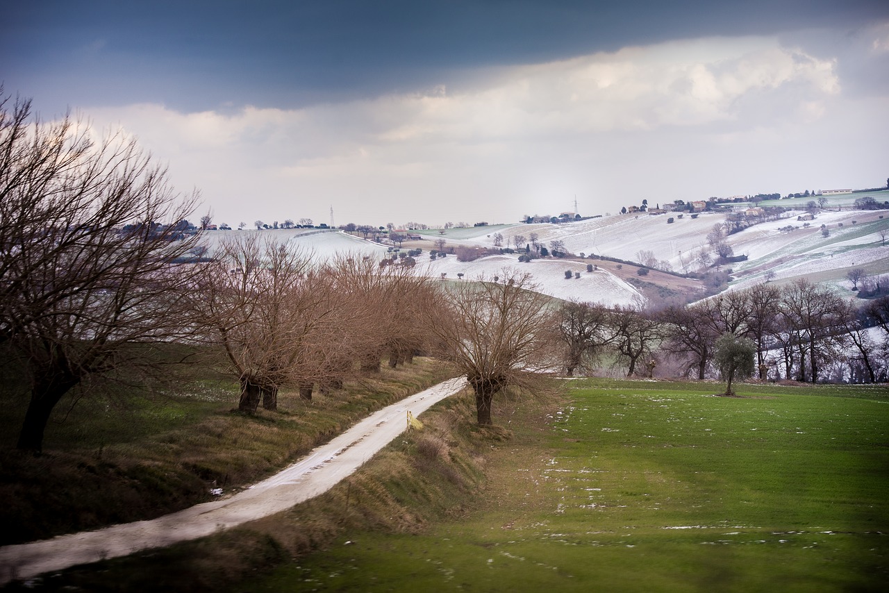 tree landscape nature free photo