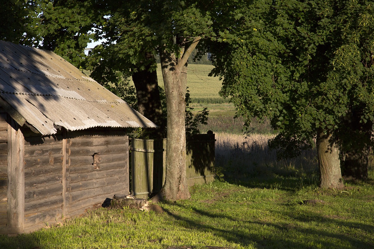 tree wood grass free photo