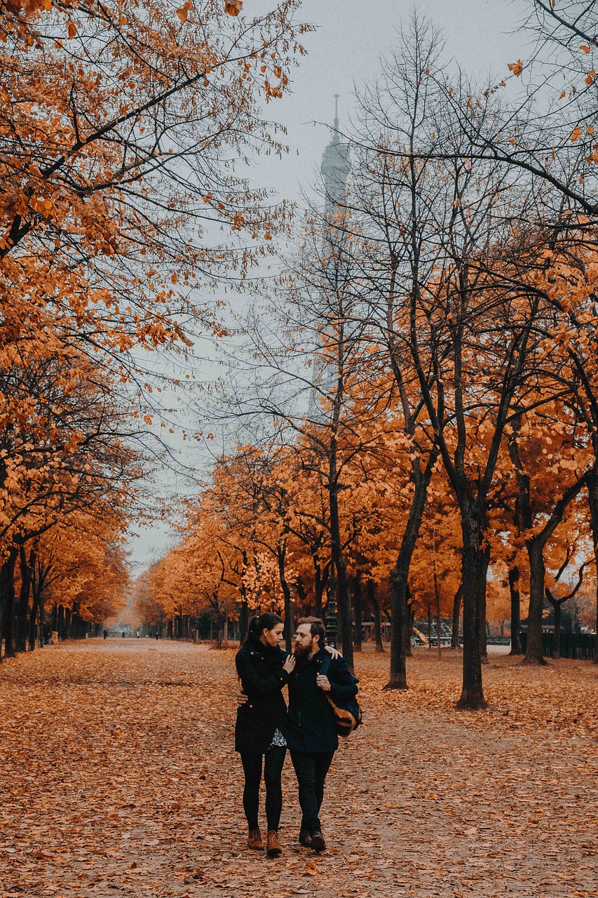 tree autumn station free photo