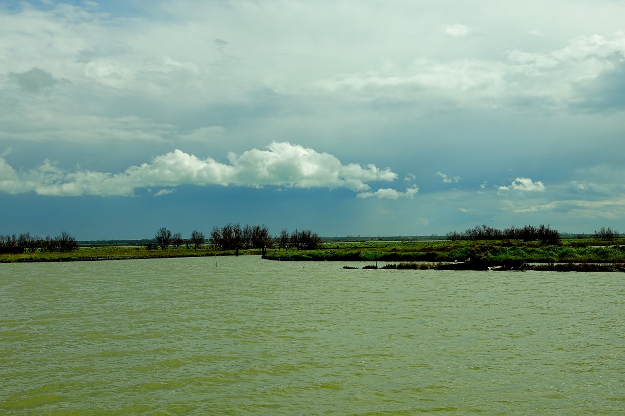 tree panorama waters free photo