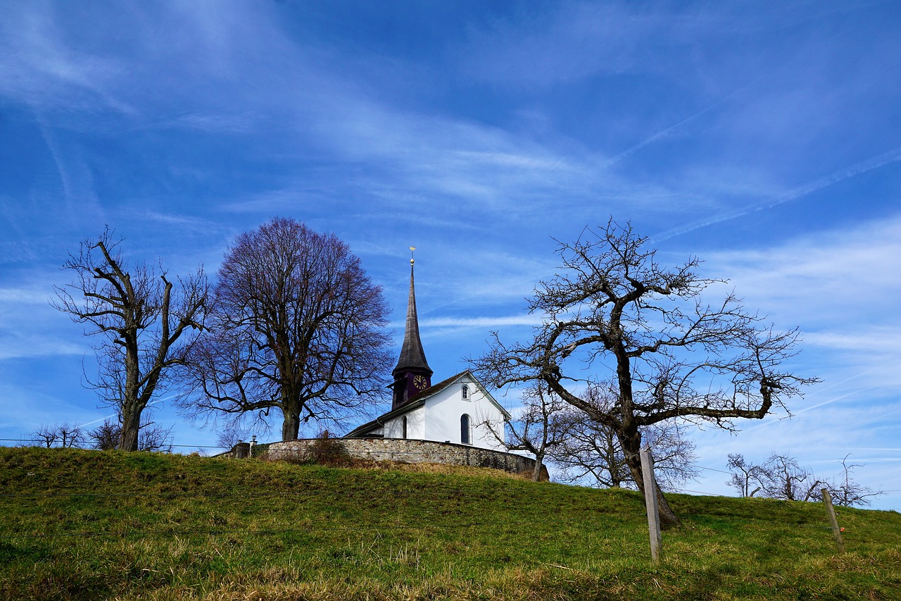 tree landscape grass free photo