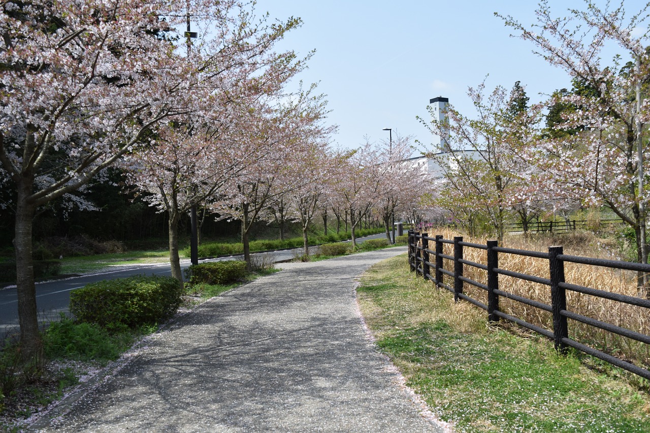 tree  station  landscape free photo