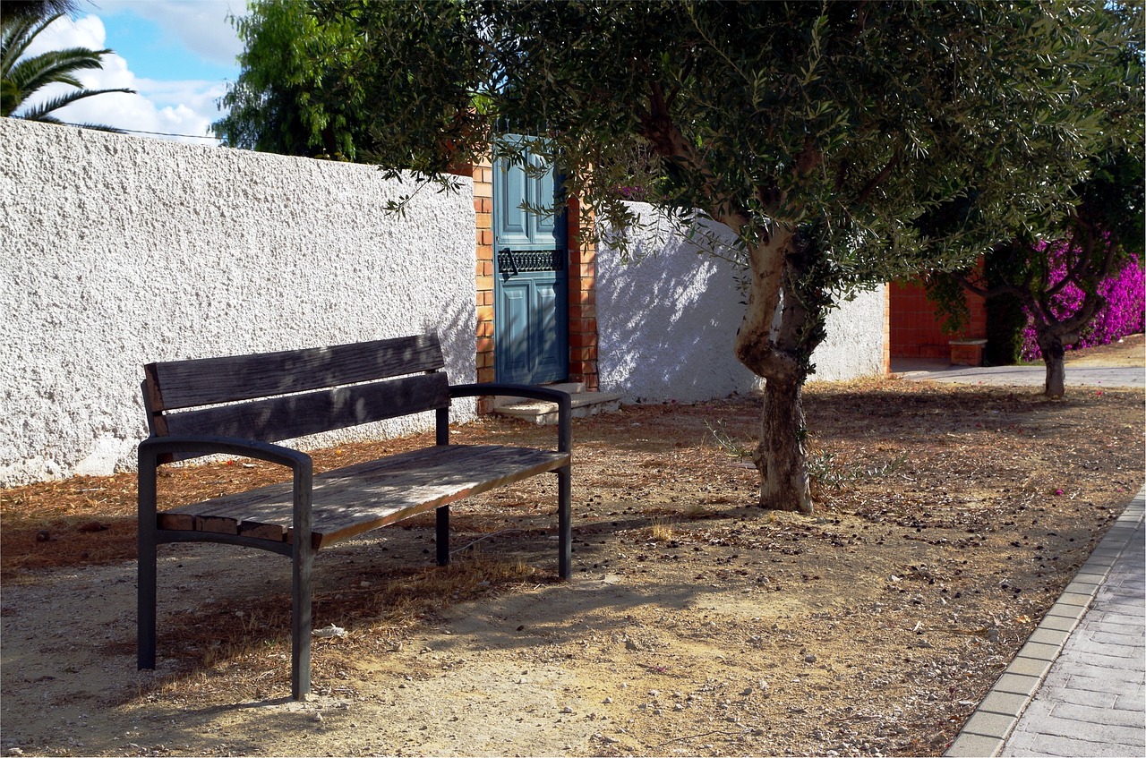 tree  bench wood free pictures free photo