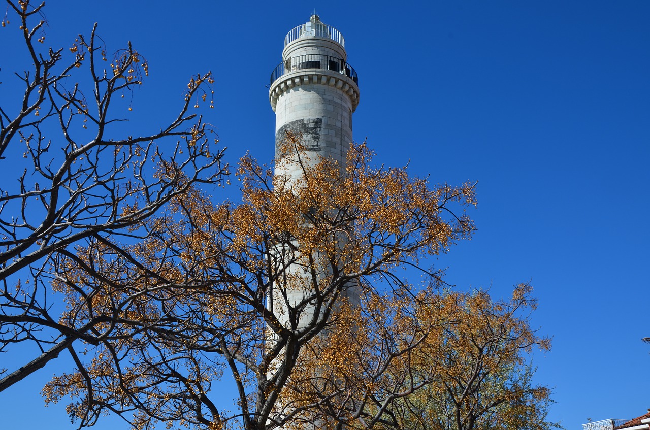 tree  sky  outdoors free photo