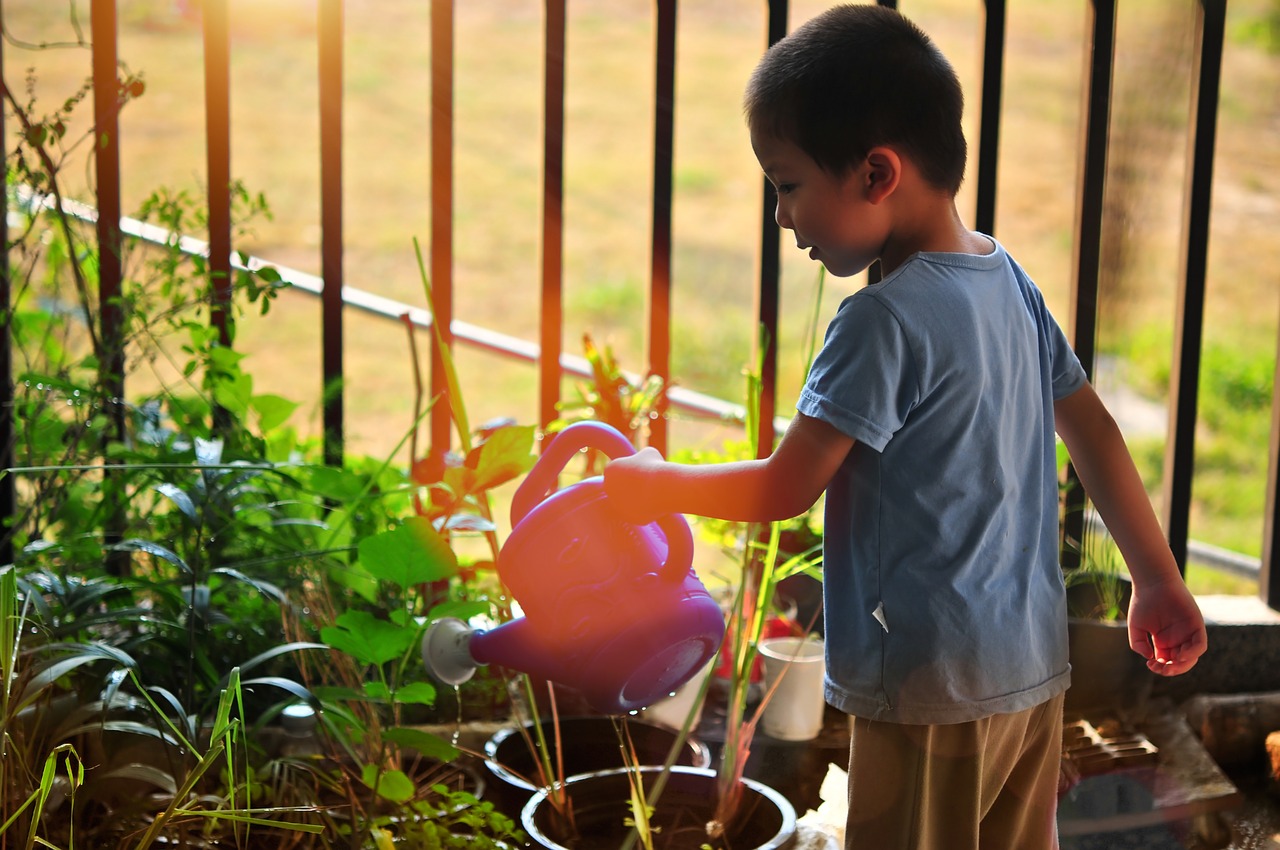 tree  watering  child free photo