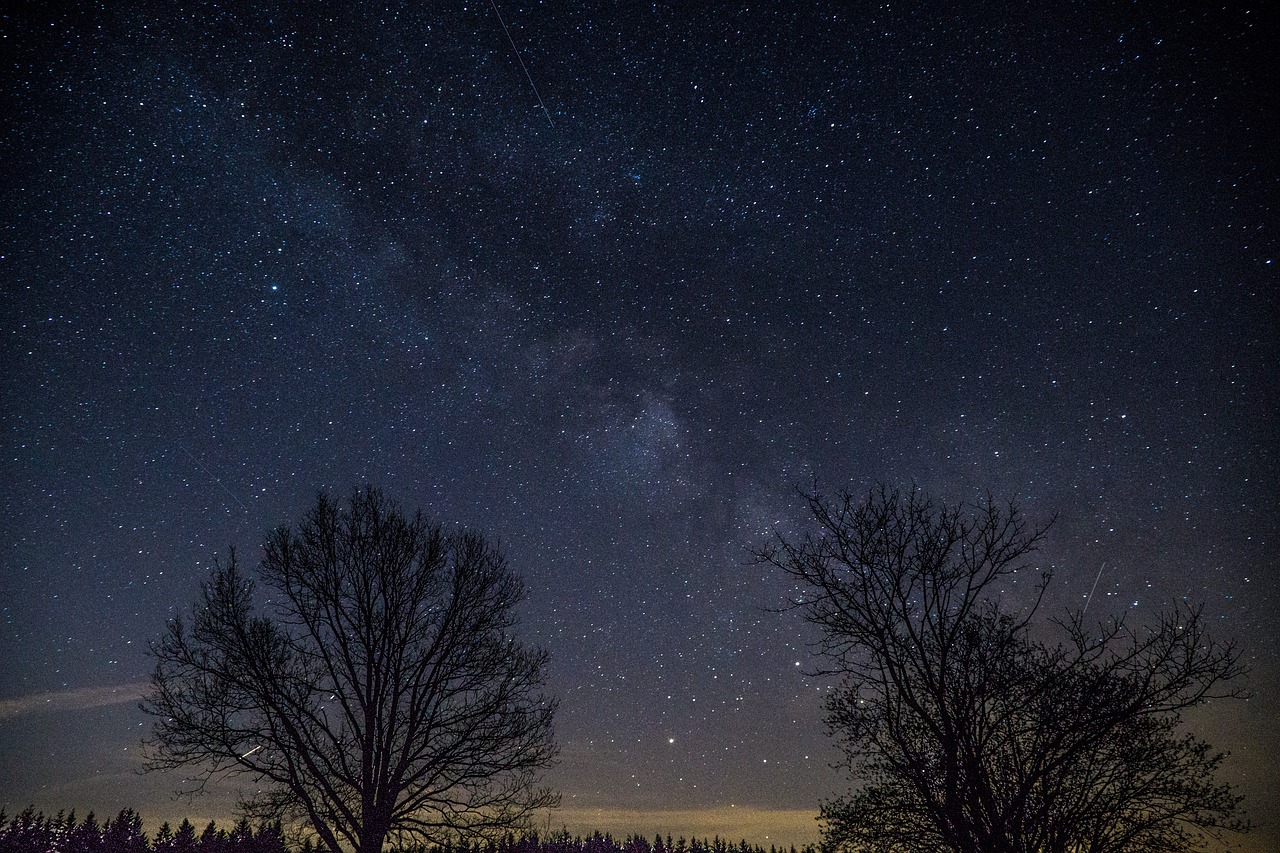 tree  landscape  sky free photo