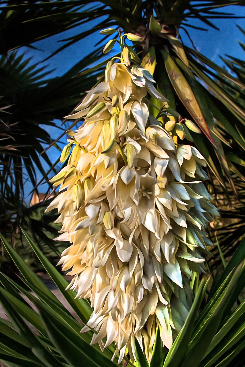 tree  plant  nature free photo