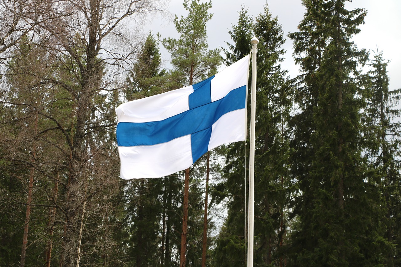 tree  flag  nature free photo