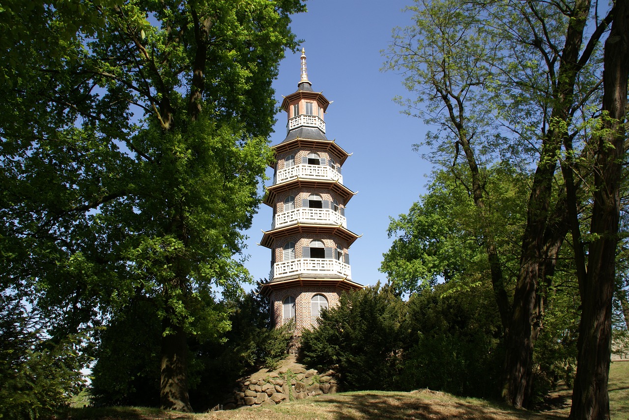 tree  tower  park free photo