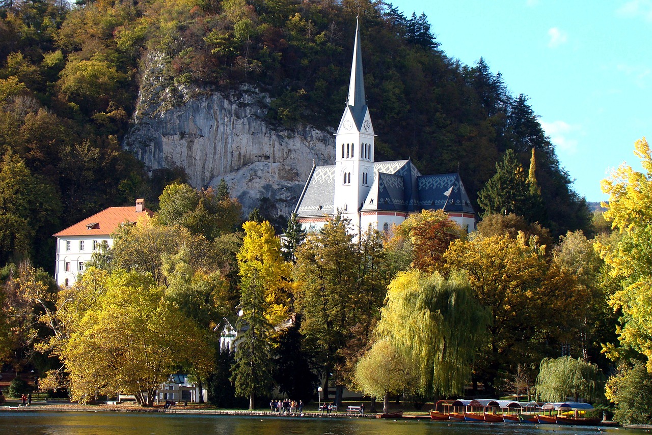 tree  church  fall free photo