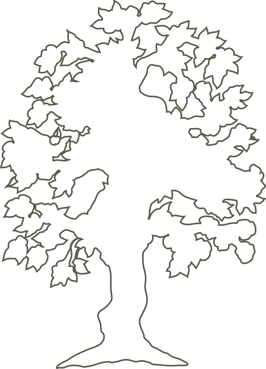 tree white branches free photo