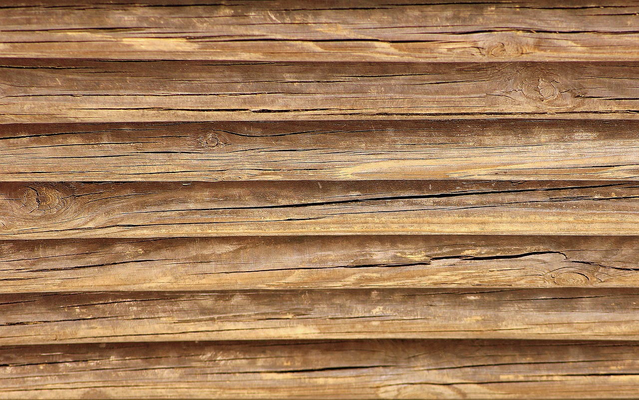 tree  wood  wooden free photo