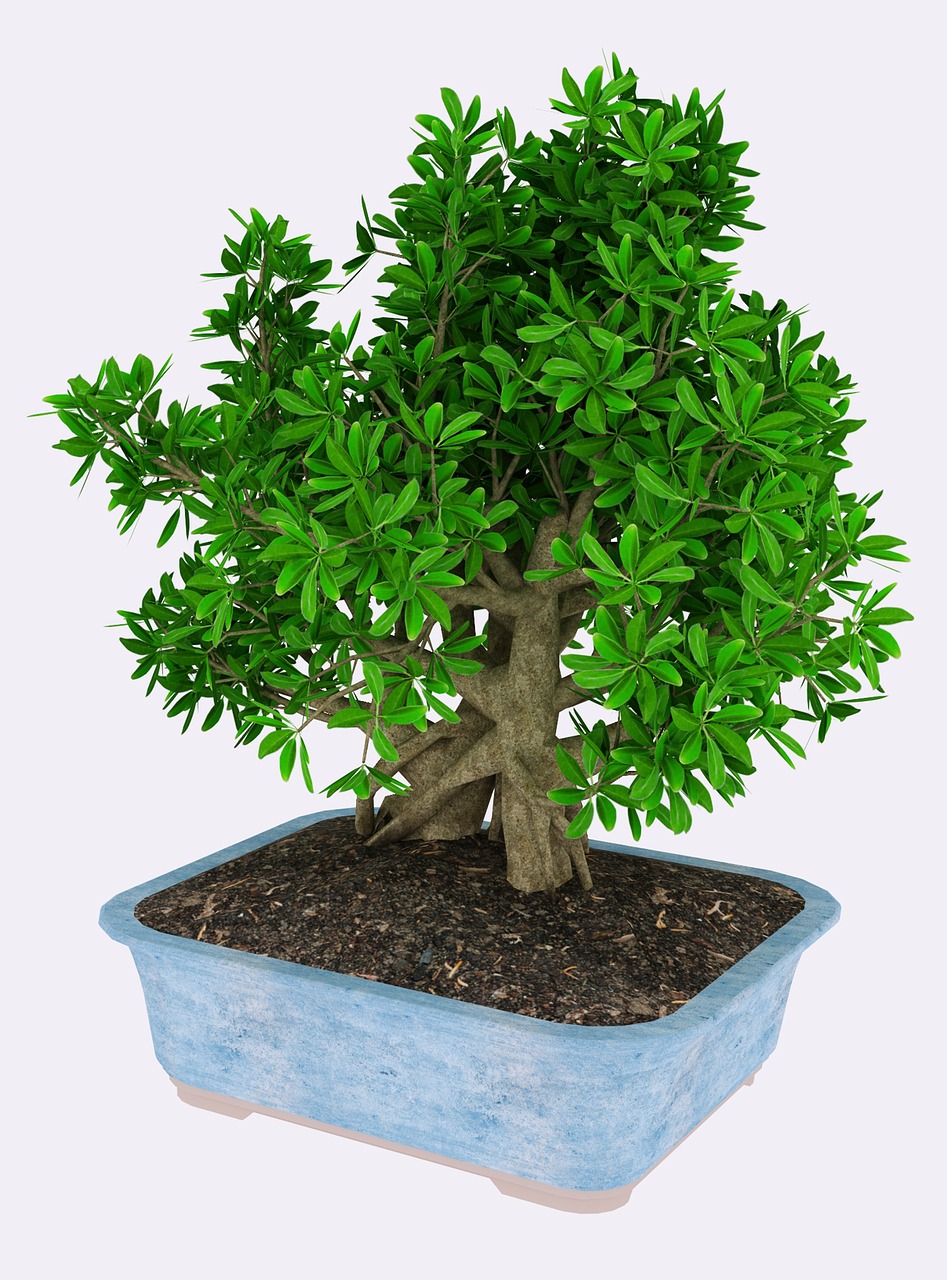 tree  3d  render free photo