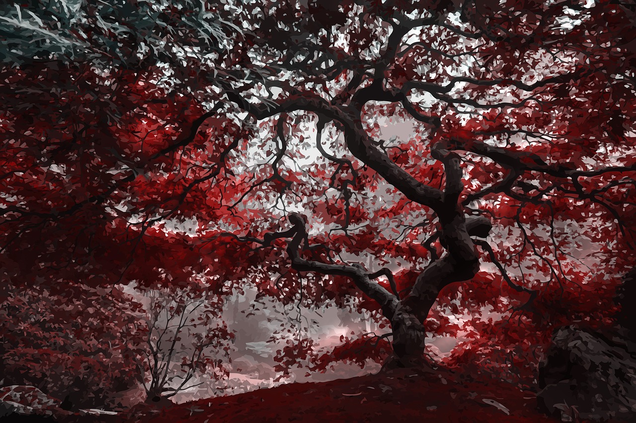 tree  red  nature free photo