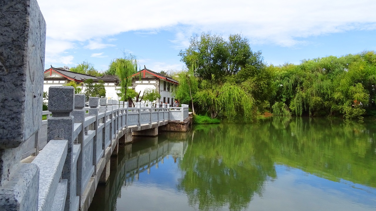 tree  reflection  bridge free photo