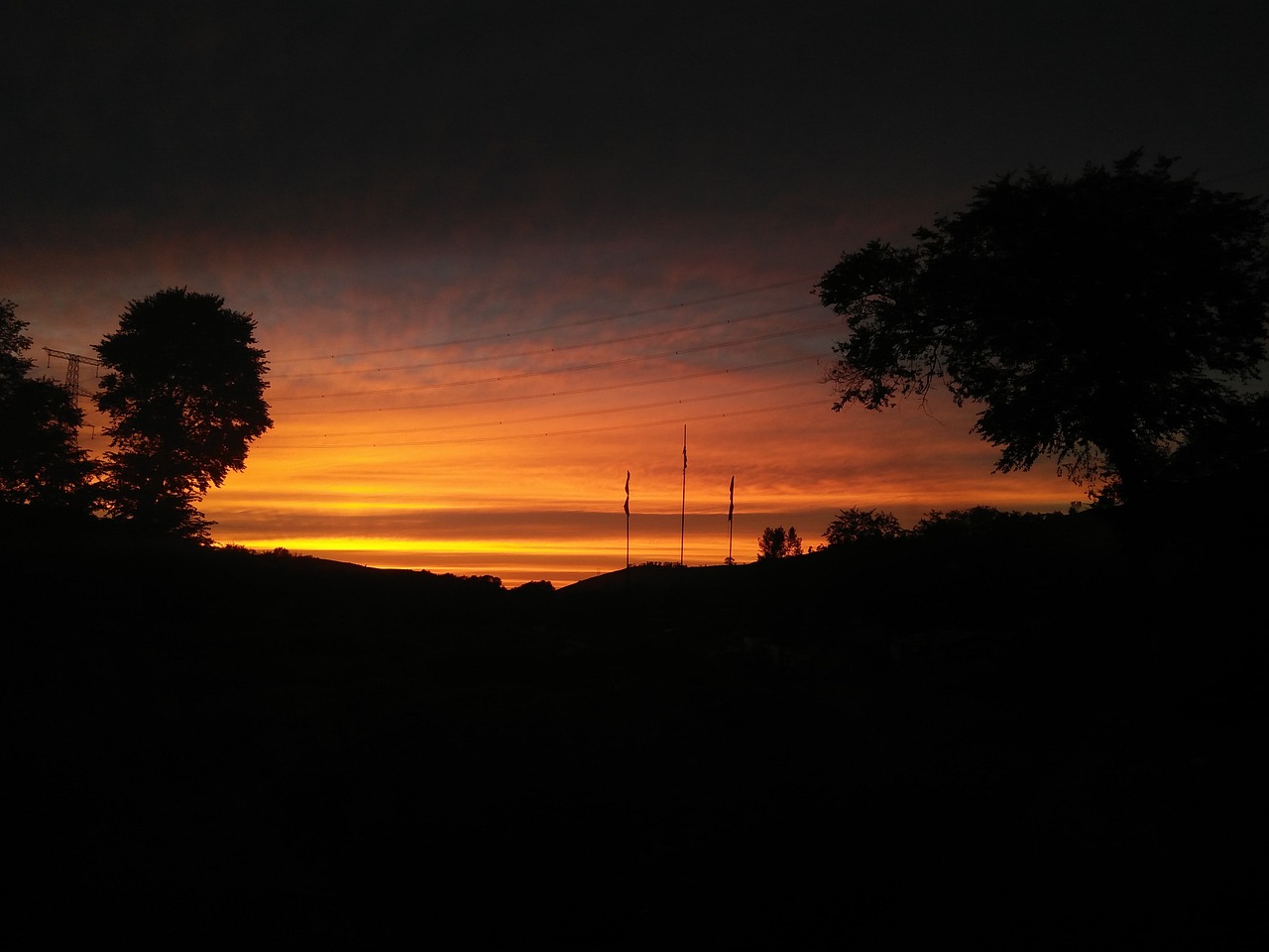 tree  sunset  sky free photo