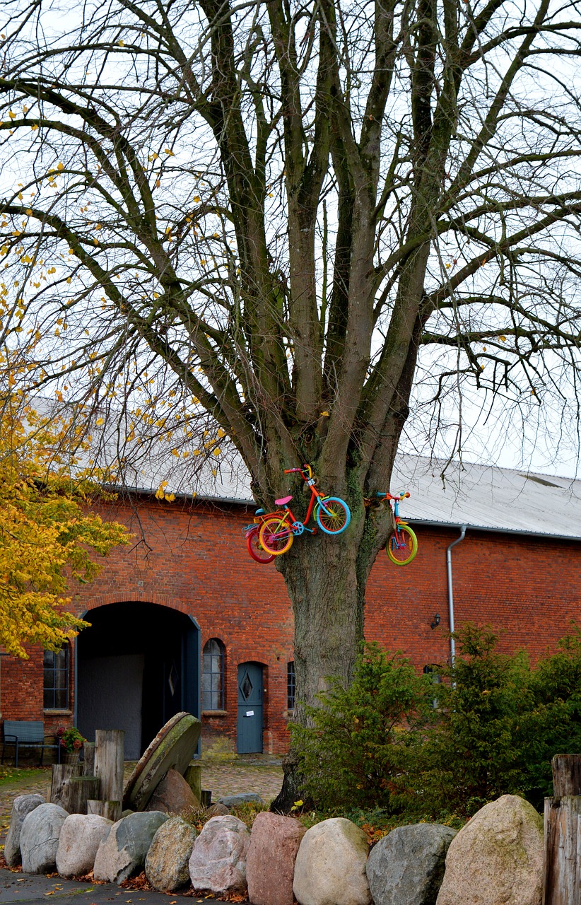 tree  bicycles  child's bike free photo