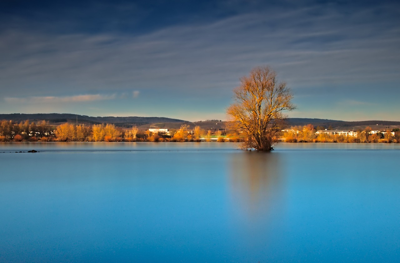 tree  river  long exposure free photo