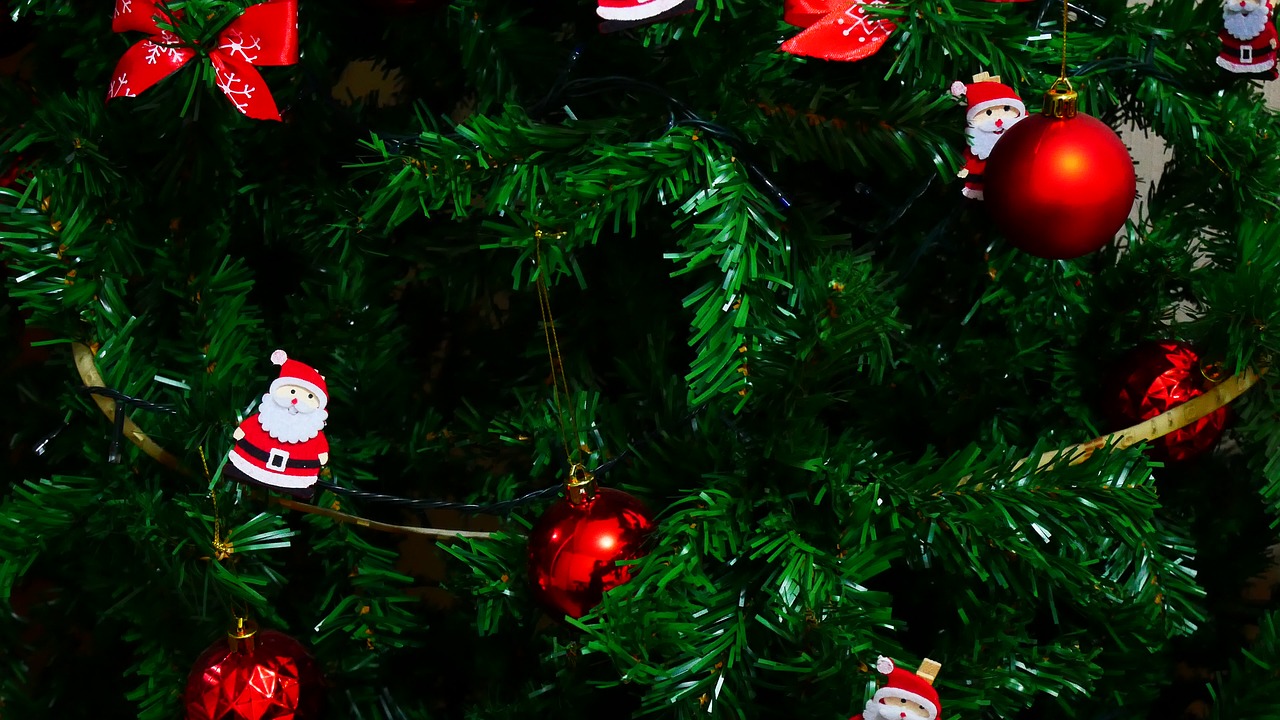 tree  christmas  december free photo