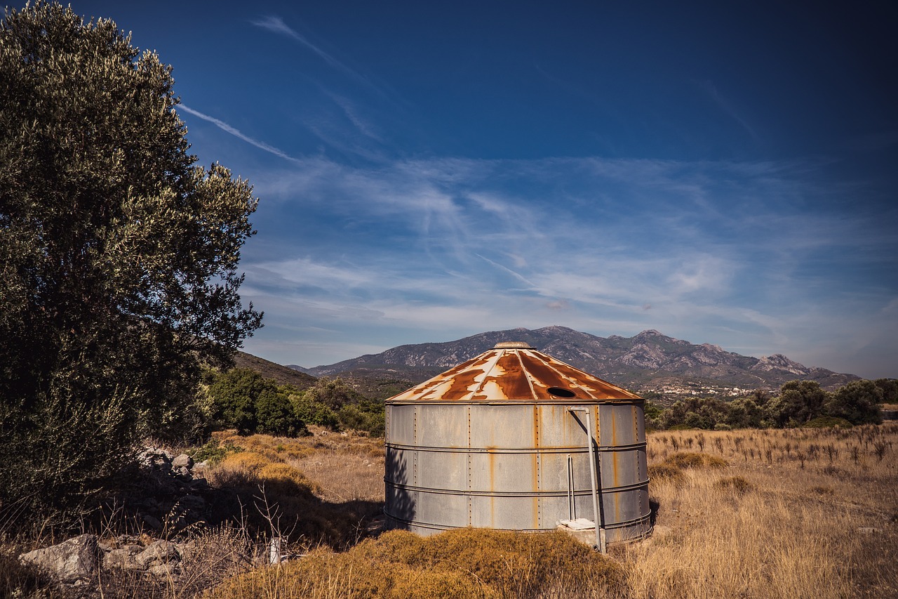 tree  silo  field free photo