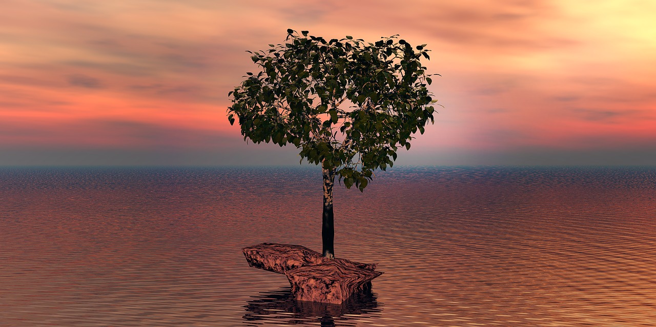 tree  water  clouds free photo