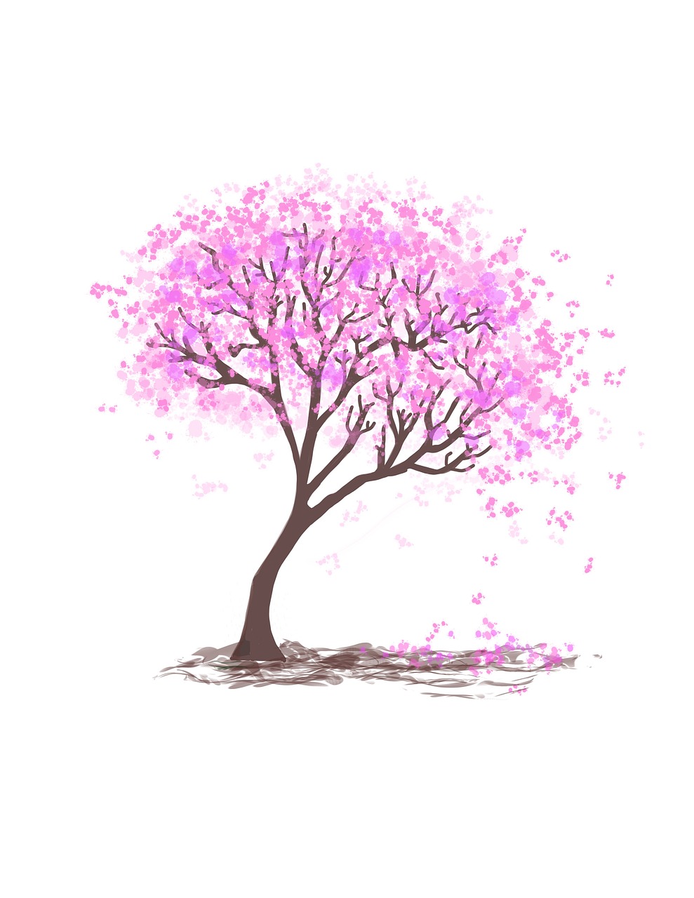 tree  tree illustration  spring free photo