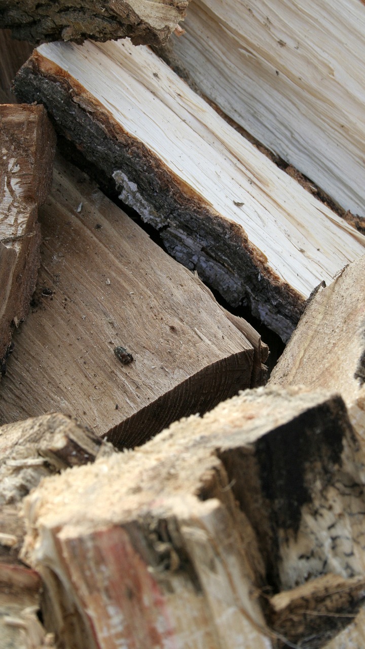 tree stack wood free photo