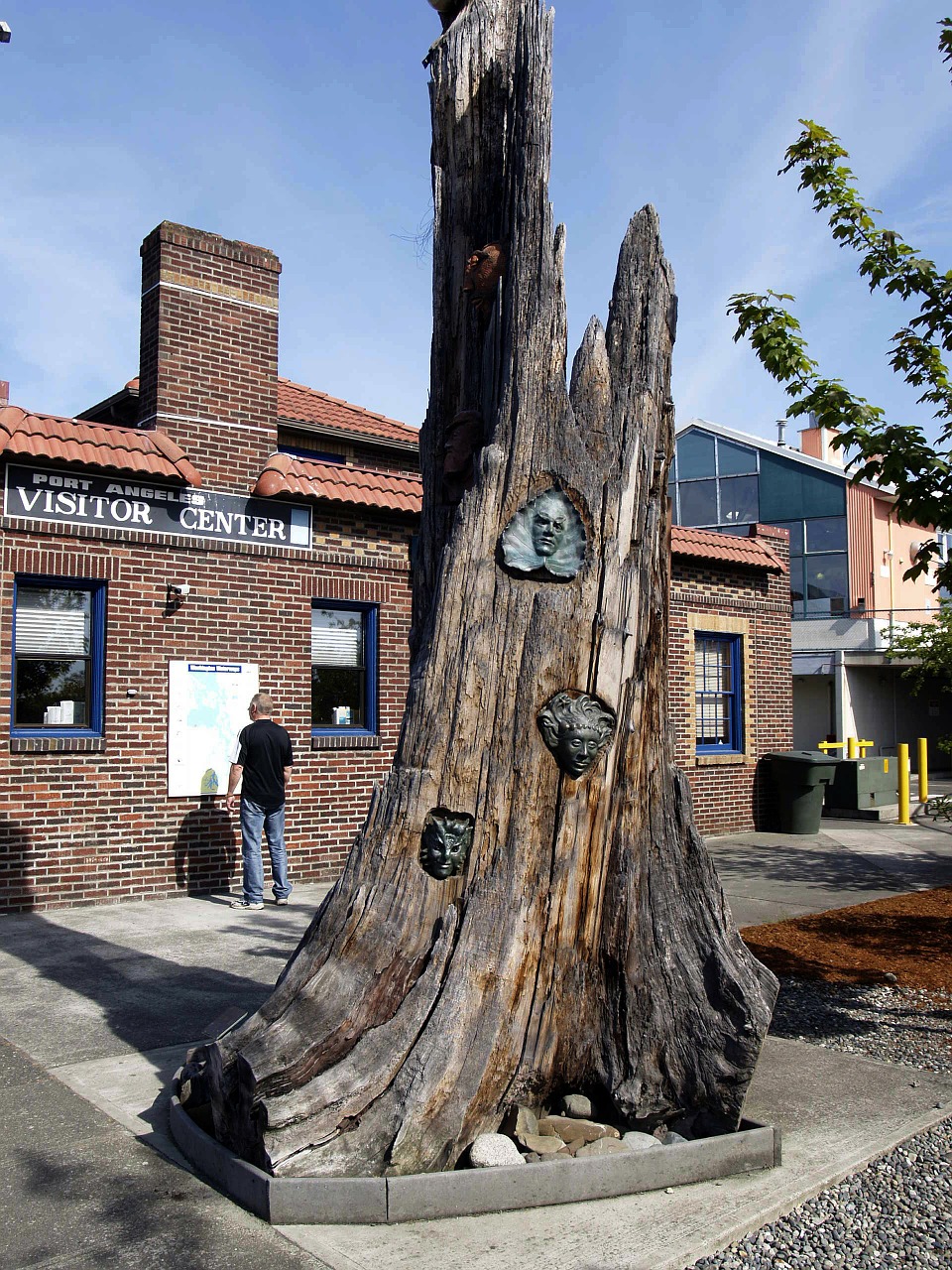 tree stump building free photo