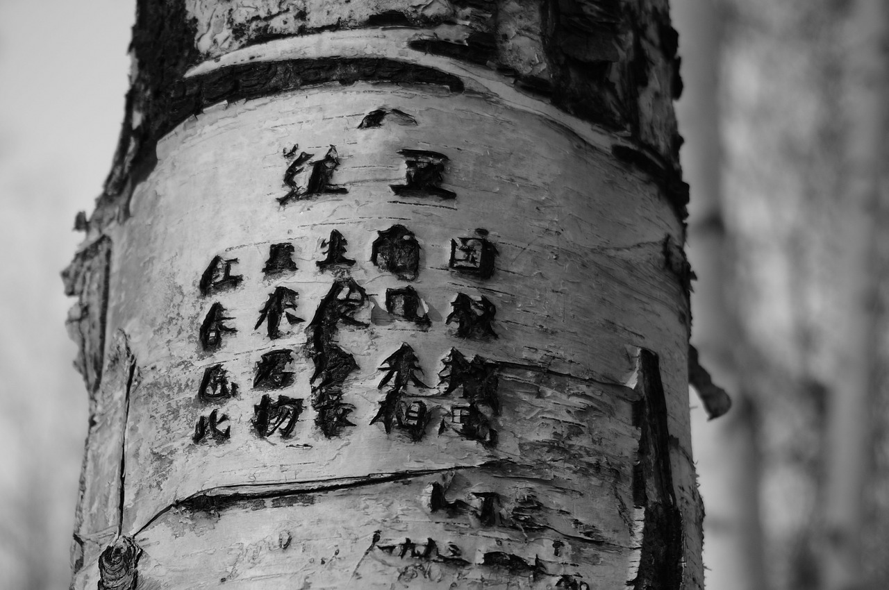 tree engraved poetry free photo
