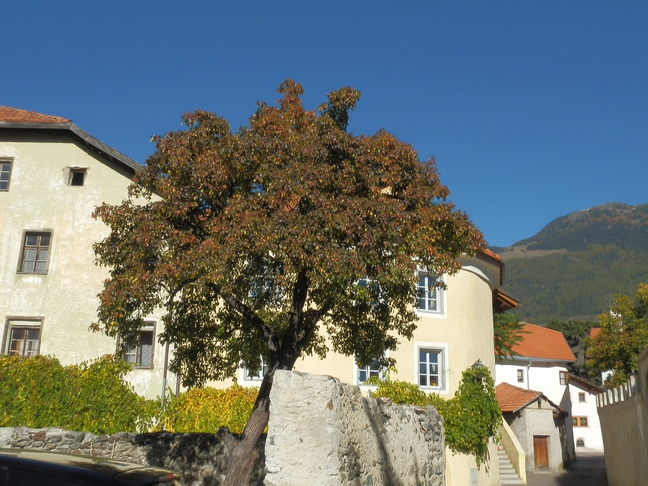 tree castle tyrol free photo