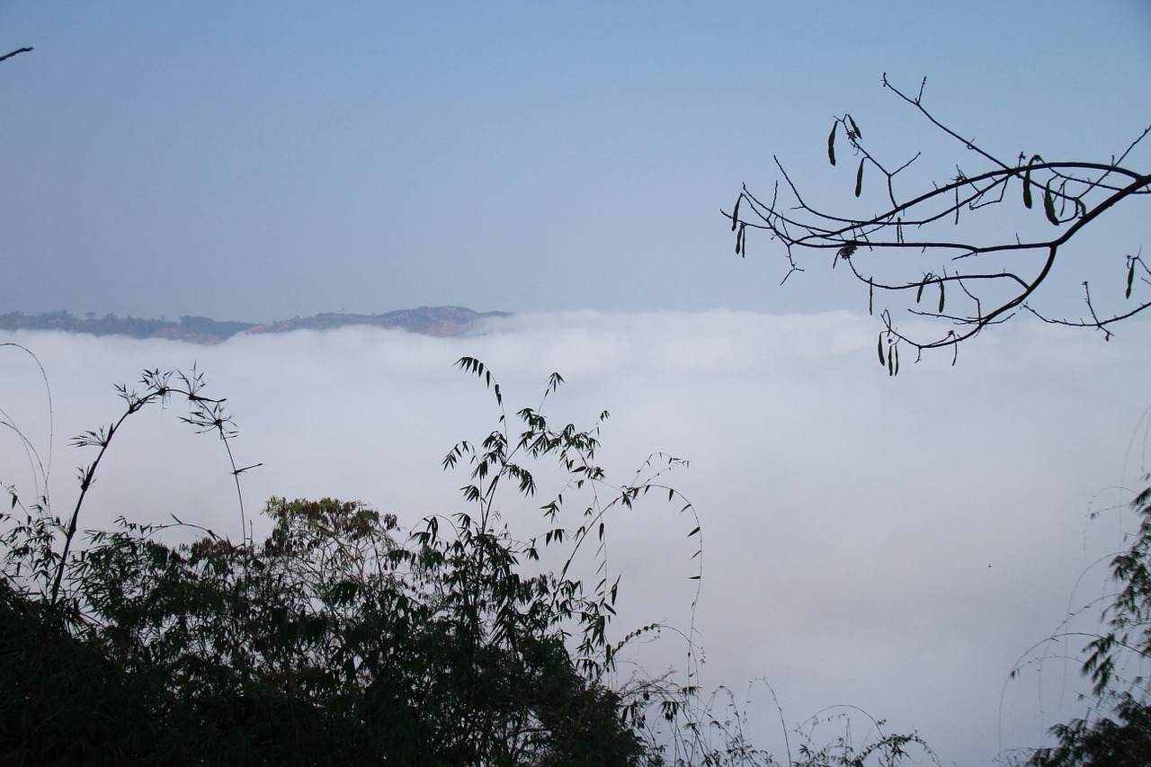 tree frost mountains and hills free photo