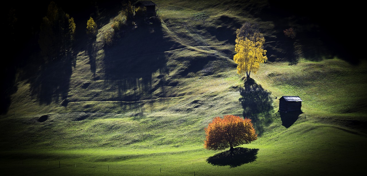 tree meadow landscape free photo